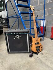 Peavey bass amp for sale  NOTTINGHAM