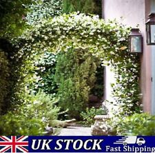 Jasmine flower seeds for sale  Shipping to Ireland