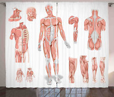 Anatomia tenda biologia usato  Spedire a Italy