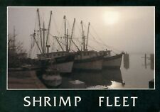 Shrimp fleet. shrimp for sale  SWANSEA