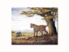 African savannah cheetah for sale  Springdale