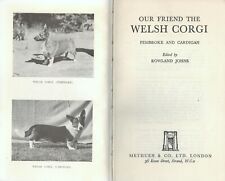 Friend welsh corgi for sale  ST. IVES
