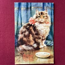 Mabel gear tabby for sale  WEYMOUTH