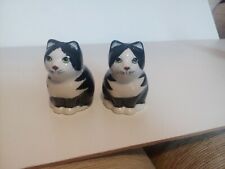 Cats ceramic salt for sale  SHREWSBURY