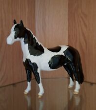 piebald horse for sale  MANCHESTER