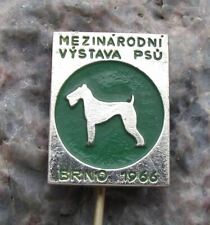 1966 international dog for sale  MACHYNLLETH