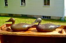 Vintage decoys greenwing for sale  Oneco