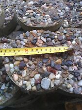 Two 6 INCH ROUND TEXAS BLEND PEA GRAVEL STEPPING STONES 2 INCH THICK for sale  Shipping to South Africa