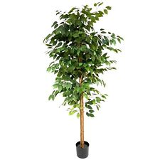 Artificial ficus tree for sale  HULL