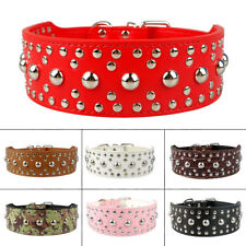 Studded wide rivet for sale  PAISLEY