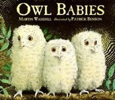 Owl babies board for sale  UK