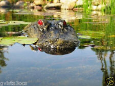 Floating alligator gator for sale  Dayton