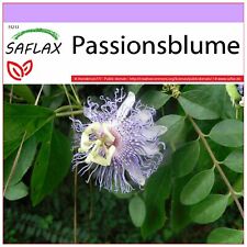 Safx passiflora passiflora usato  Spedire a Italy