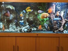 6ft fish tank for sale  CREDITON