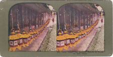 Stereoview giappone nara usato  Roma