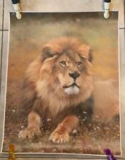 Lion art print for sale  Lynnfield