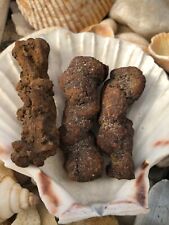 Dinosaur poop coprolite for sale  BLYTH