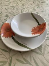 Set melamine plates for sale  EPSOM