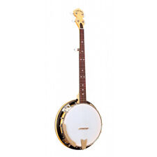 Goldtone 100rw banjo d'occasion  Annezin