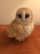 Barn owl snowy for sale  DEREHAM