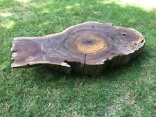 Black walnut flattened for sale  Eagle Springs