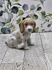 Adorable beagle hound for sale  Olathe