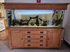 Full aquarium setup for sale  TAUNTON