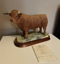 Highland bull border for sale  SANDBACH