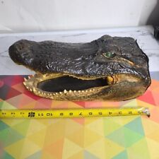 Huge gator head for sale  Delavan