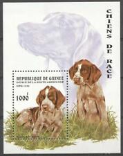 Dogs guinea for sale  Shipping to Ireland