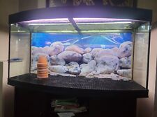 4ft juwel fish tank for sale  HOUNSLOW