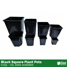 Square plant pot for sale  MORECAMBE