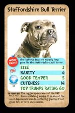 Info card dog for sale  EASTBOURNE