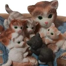 Calico kittens handle for sale  Nevada City