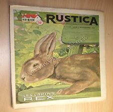 Rustica 1955 lapins d'occasion  Vincey