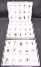 insect display case for sale  LEEDS
