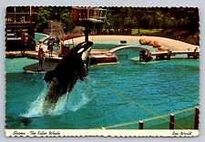 Postcard Florida Orlando Sea World Shamu  Killer Whale Unposted Chrome  C097 for sale  Shipping to South Africa
