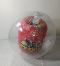 Gadget gonfiabile pallone usato  Verbicaro