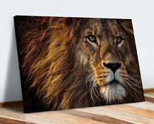 Lion head canvas for sale  Shipping to Ireland