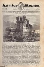 Caernarvon castle cultivation for sale  SHREWSBURY