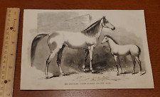 Harper weekly 1858 for sale  Carlisle