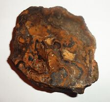 Stromatolith australien selten gebraucht kaufen  Deutschland