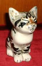 Seneshall tabby cat for sale  ROMNEY MARSH