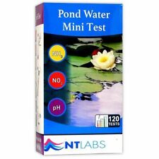 Labs pond mini for sale  HORLEY
