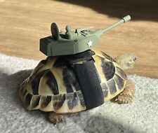 Tortoise tank fun for sale  MILTON KEYNES