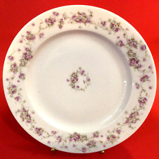 Theodore haviland limoges for sale  Normal