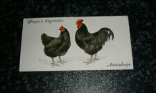 Players poultry card for sale  UK