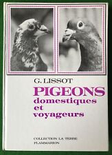 Pigeons domestiques voyageurs d'occasion  Sainte-Luce-sur-Loire