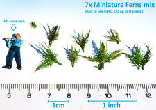 Miniature ferns bracken for sale  Shipping to Ireland
