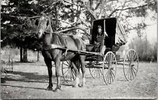 Rppc. man carriage for sale  Boston